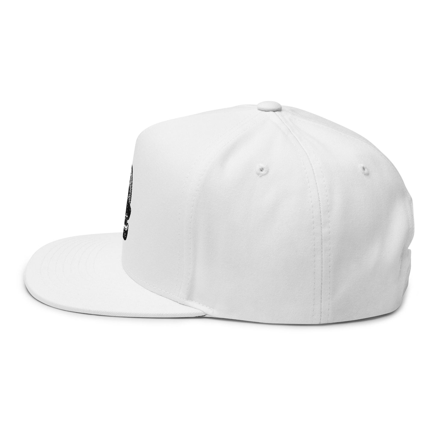 Official Piston Aviation Flat Bill Cap