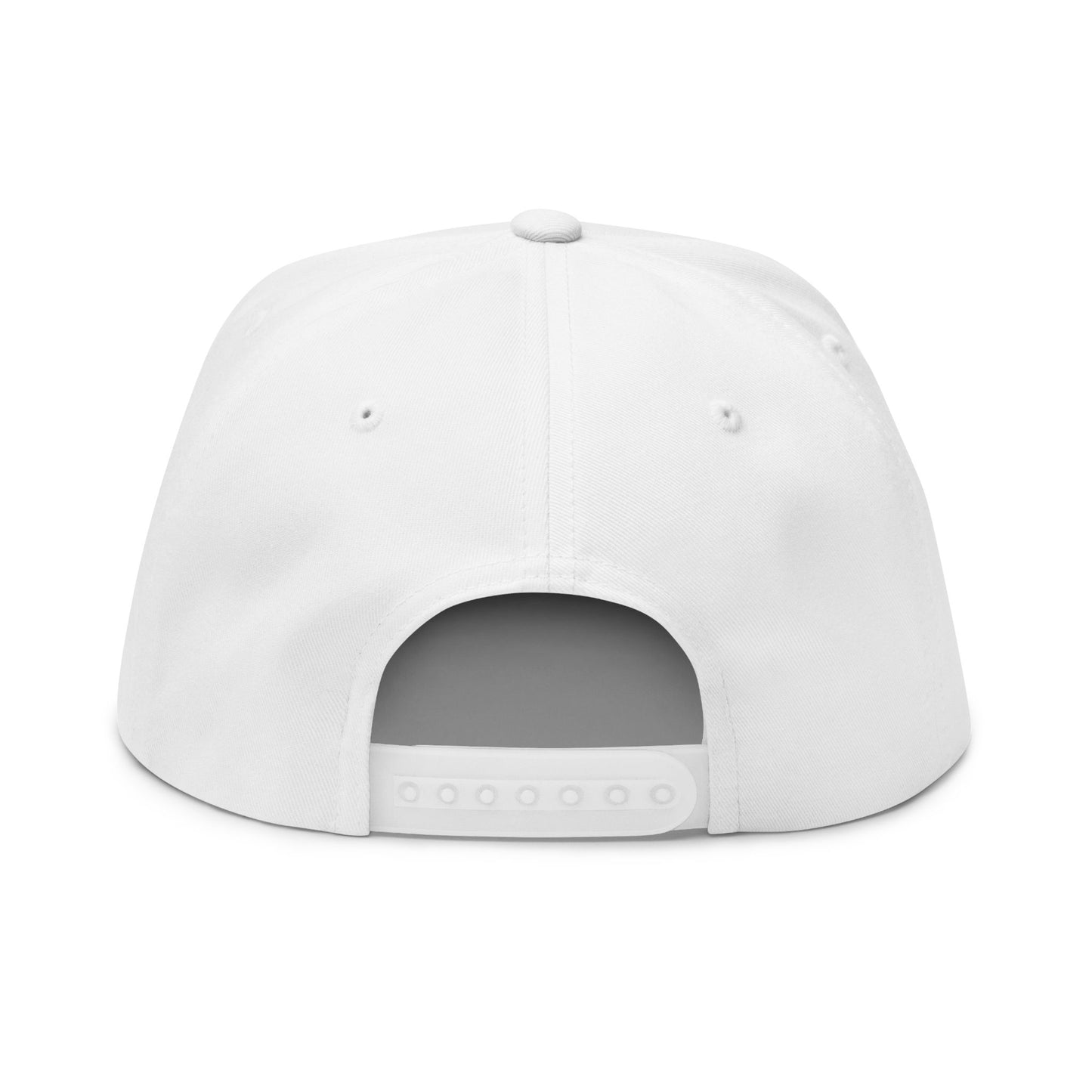 Official Piston Aviation Flat Bill Cap