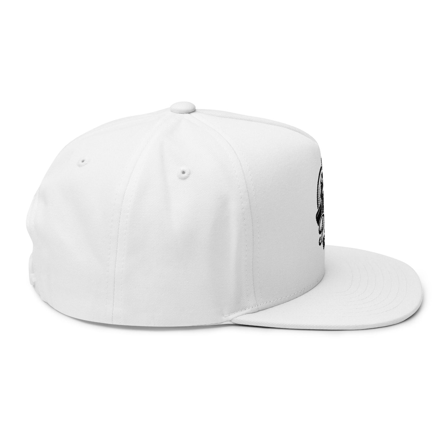 Official Piston Aviation Flat Bill Cap